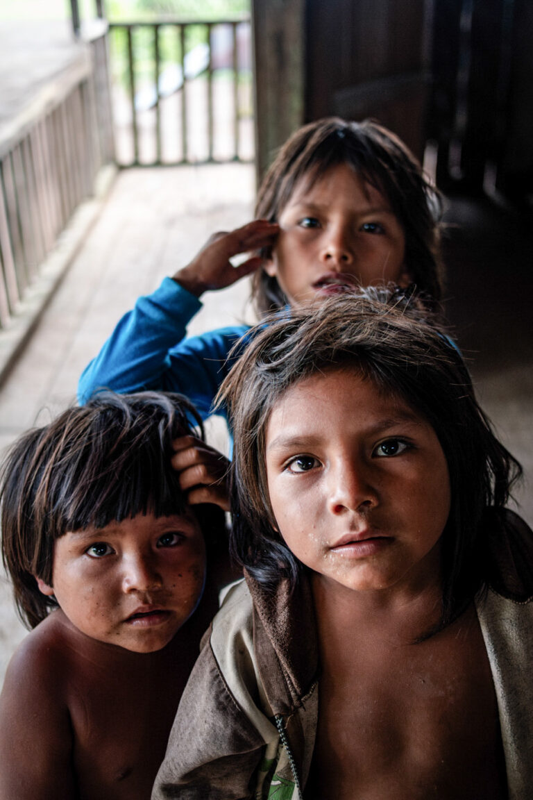 Three achuar boys in the Amazon foret, powerful portrait of the tribe