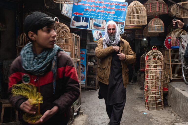Young boy holding a birdcage amidst the vibrant bird market in Kabul, Afghanistan.