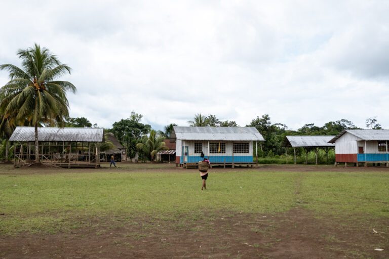 View of an Achuar village house surrounded by tropical trees and open field.