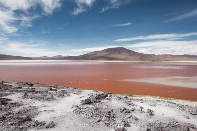 Vivid red Laguna Colorada with flamingos and Andean peaks in Bolivia