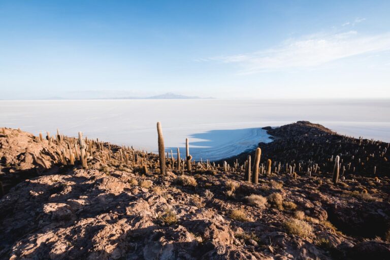 Vast white salt flats of Salar de Uyuni stretching under a clear sky in Bolivia