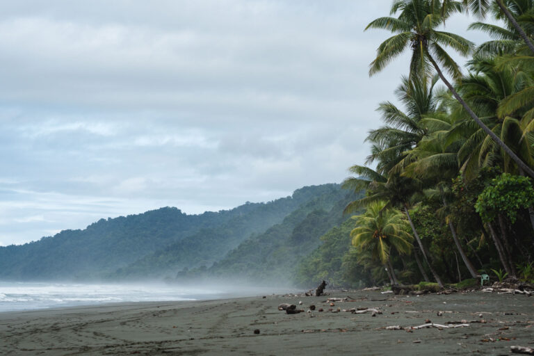 Lush rainforest coastline of Corcovado National Park, Costa Rica