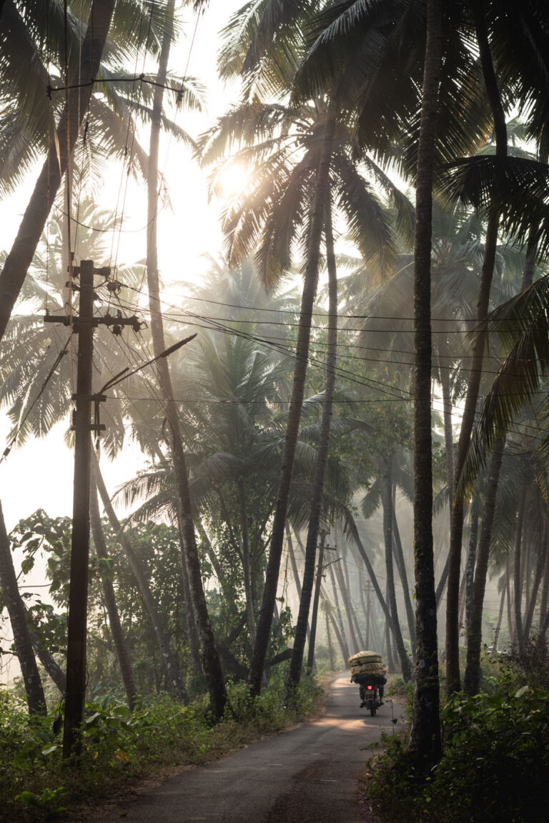 Misty rainforest landscape in southern India, Goa at sunrise