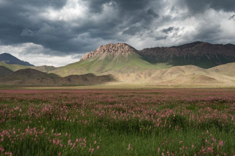 Golden hour over Sary Mogul valley with snow-capped Pamir mountains in Kyrgyzstan