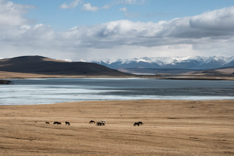 Vast steppe and sand dunes in Mongolia