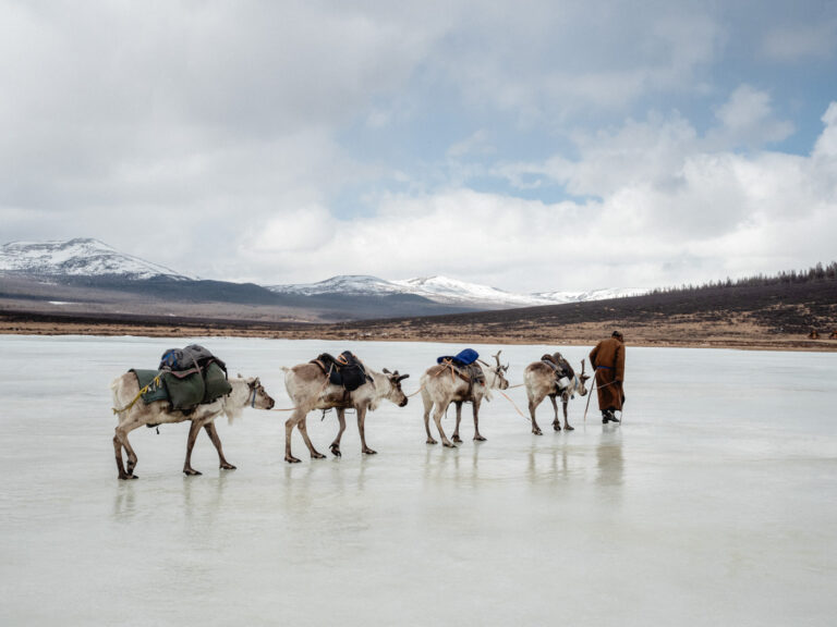 Reindeer caravan crossing snowy steppe under wide blue Mongolian sky.