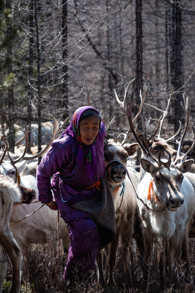 Tsaatan elder walking alongside reindeer, warmly dressed against cold.