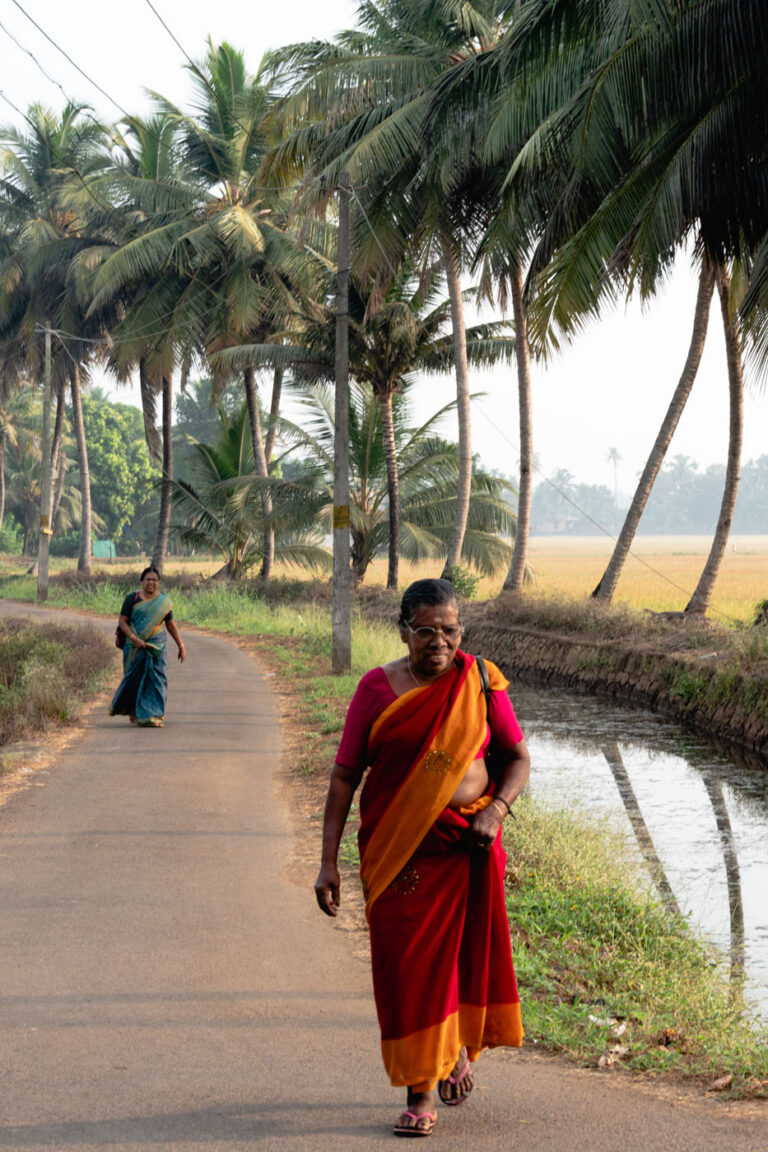 Two women in colorful saris, morning scene in a Kerala backwater village, surrounded by palm trees.