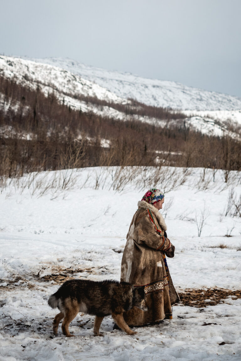 Nenets woman walking with sled dogs across icy plain.