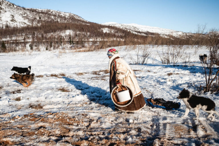 Nenets woman playing on snow-covered field with dogs nearby.