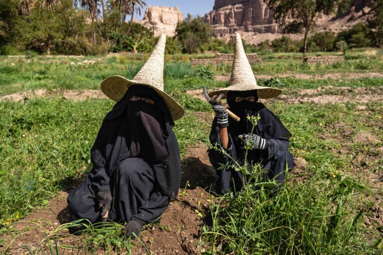 Two women wearing traditional tall straw hats sitting in a green field in Yemen.