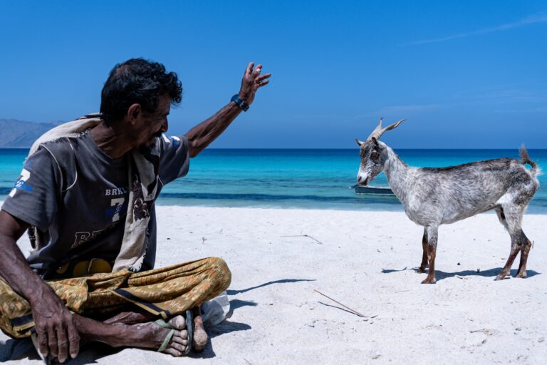 A man sitting on a white sand beach interacting with a goat by the sea.